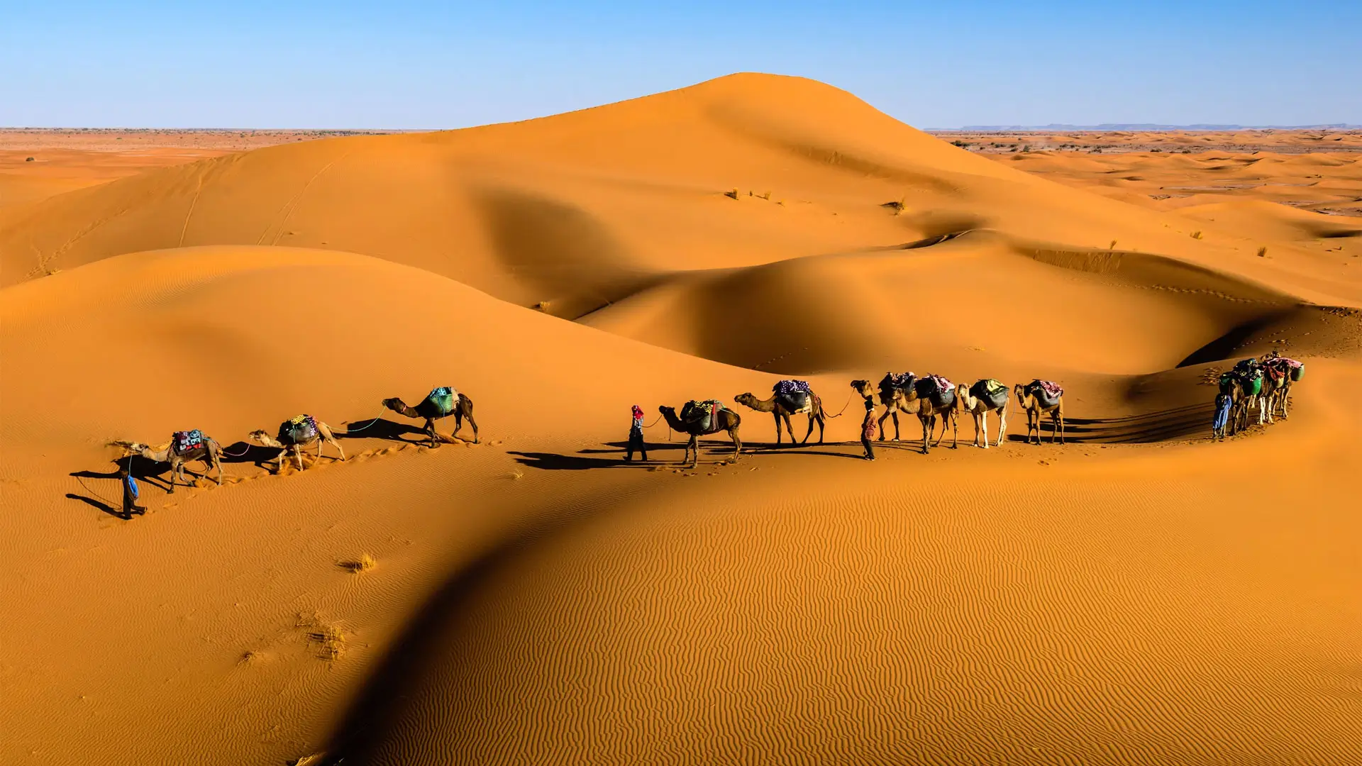 Jaisalmer y el desierto de Thar