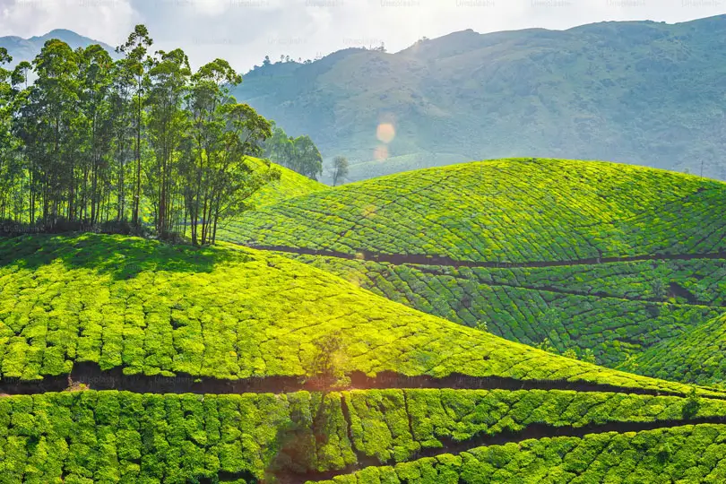 Viajar sola o con amigas a India