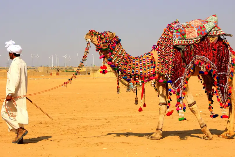 Tour Safari en Camello por Rajastán – Expedición de Pushkar a Jaisalmer