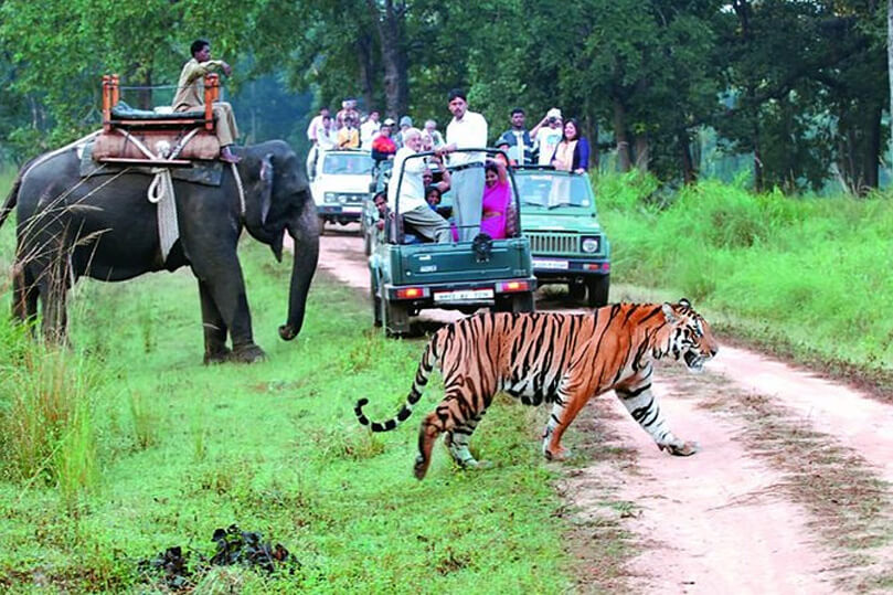 Excursiones al Parque Nacional Corbett