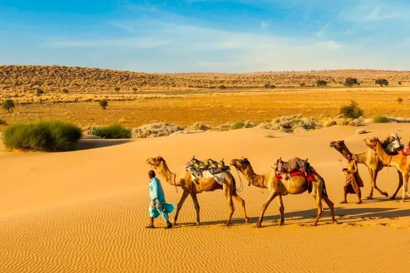 Tour Fotográfico por Rajastán: Desierto y Vida Local