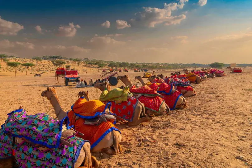 Senderos del Desierto de Rajastán