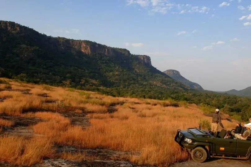 Safari de Tigres en India: Kanha, Bandhavgarh y Pench