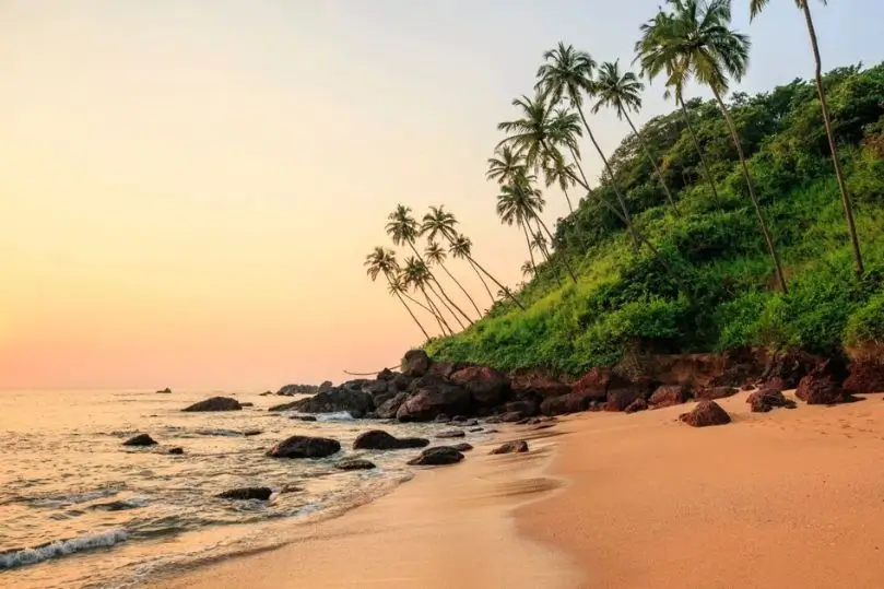Tour por Kerala, Karnataka y Goa | 21 Días