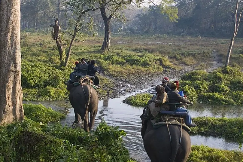 Gran Safari de Vida Silvestre por India Central