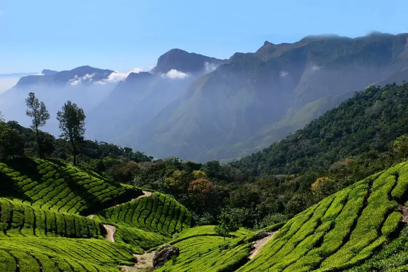 Tour por Kerala: Backwaters, Montañas y Ayurveda | 12 Días