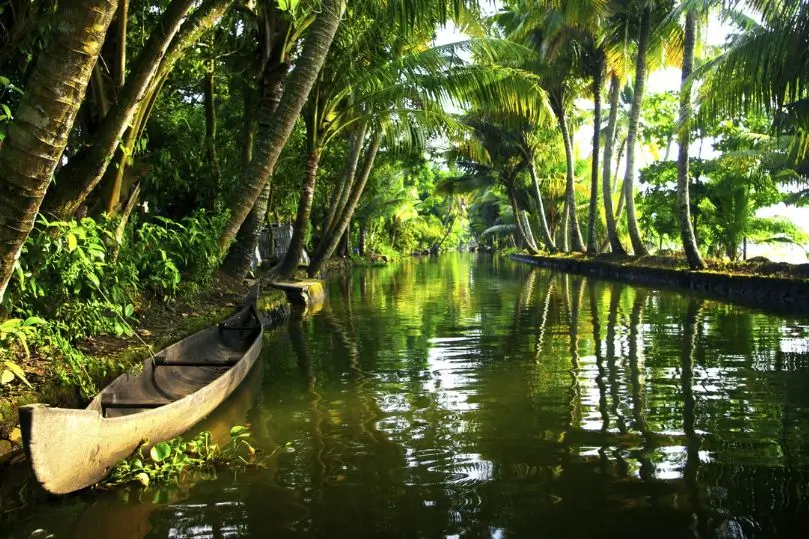 Tour por Kerala: Backwaters, Montañas y Ayurveda | 12 Días