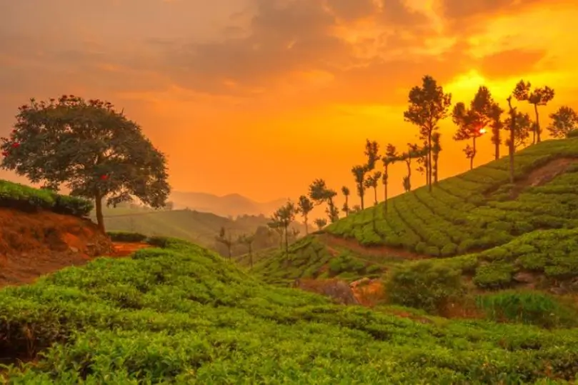 Tour por Tamil Nadu y Kerala con Guía en Español | 15 Días