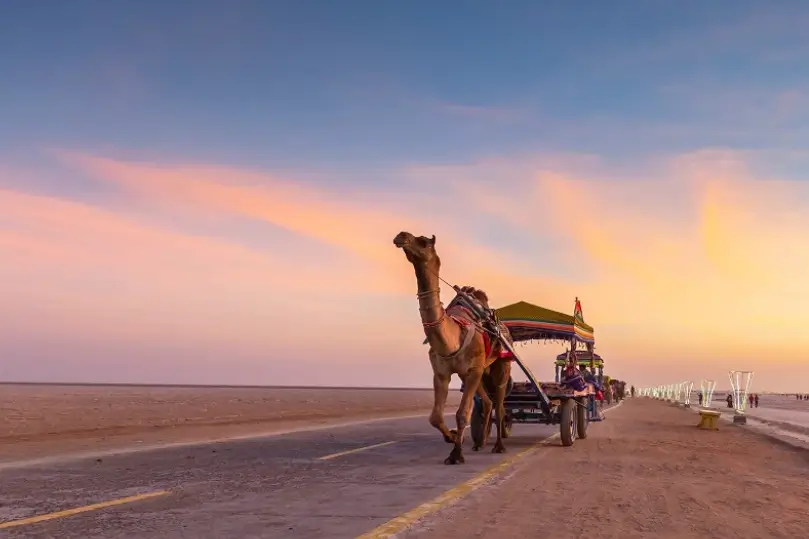 Gran Tour de Gujarat, Kutch y León Asiático | 16 Días
