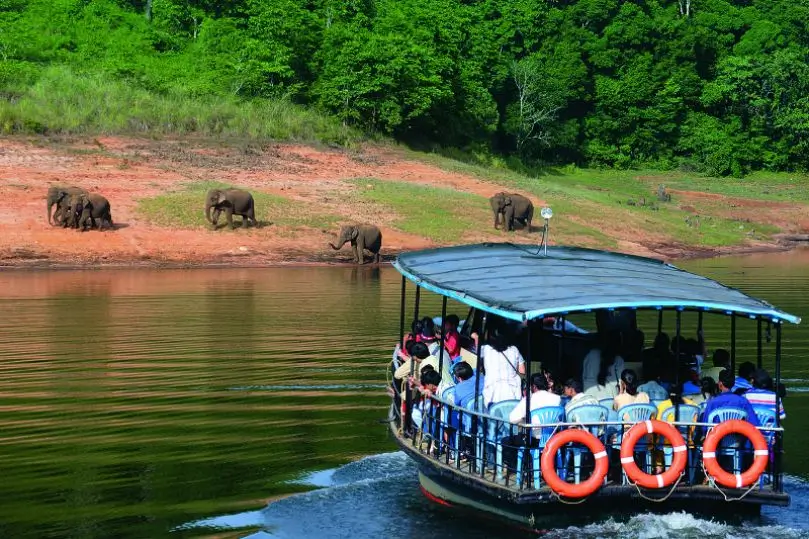 Tour LGBTQ+ por Kerala con Ayurveda y Backwaters
